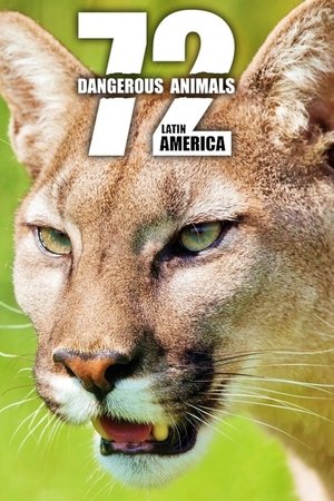 72 Animales Peligrosos: América Latina: Temporada 1