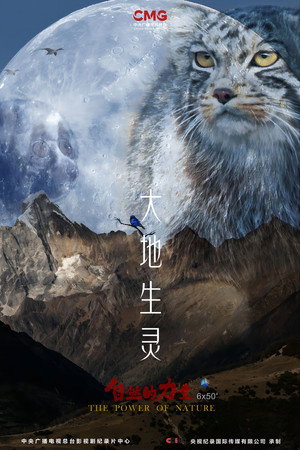 Season 2 | FlixBox
