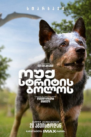 <Images posters