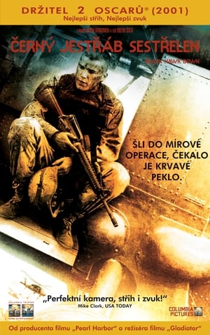 Poster Černý jestřáb sestřelen 2001