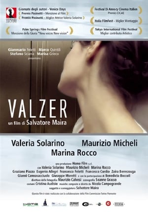 Poster Valzer (2007)