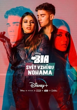 Poster BIA: Svět Vzhůru Nohama 2021