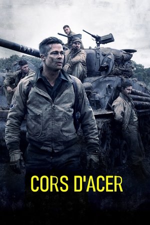 poster Fury