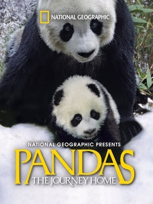 Image Pandas: The Journey Home