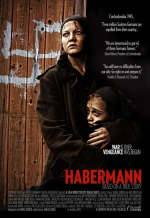 Poster Habermann (2010)