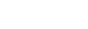 替婚新娘 — Logos 1