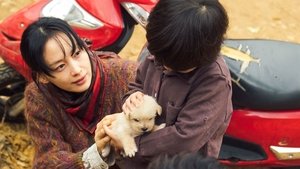 Beautiful Days (2018) Korean Movie