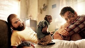 The Hangover Part II (2011) Hindi Dubbed