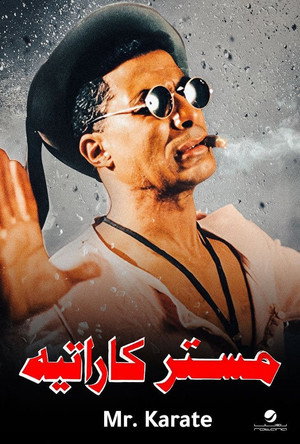Mr. Karate 11
