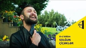 Episodio 8