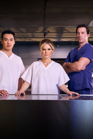 poster Silent Witness