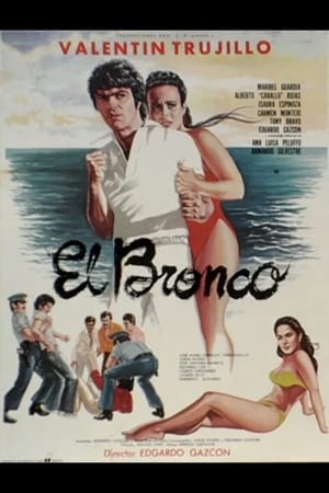 Poster El Bronco (1982)