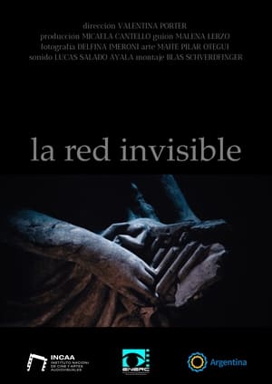 Poster di La Red Invisible