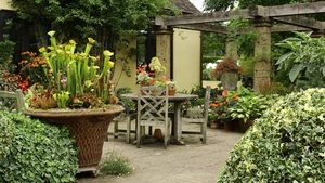 Great British Gardens: Season by Season with Carol Klein John's Garden at Ashwood