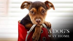 A Dog’s Way Home 2019