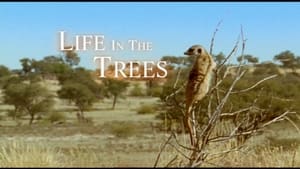 The Life of Mammals Life in the Trees