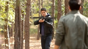 The Vampire Diaries: Stagione 3 – Episodio 10