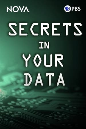 Secrets in Your Data (2024)