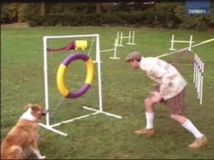 Image Murray at the Dog Show