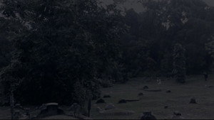 Where Have You Gone, Girl?