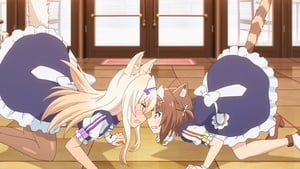 Nekopara: Season 1 Episode 6 – Battles Without Honor and Cat-Humanity!