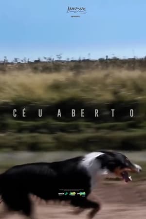 Céu Aberto (2022)