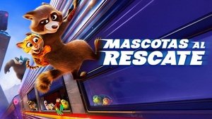 Images posters