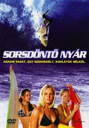 Sorsdöntő nyár 2002