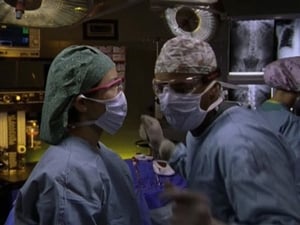 Scrubs – Die Anfänger: 2×4