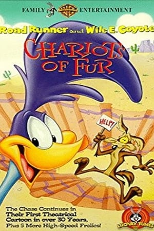 Poster Chariots of Fur 1994