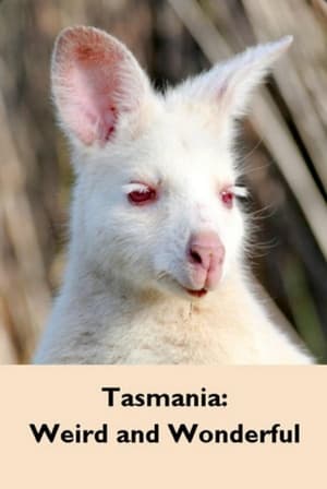 Poster Tasmania: Weird and Wonderful 2019