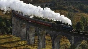 Image Geoduck Clams, Vintage Steam Trains, Water Polo Hats