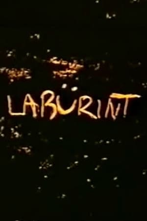 Poster Labürint 1989