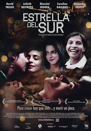 Poster Estrella del Sur (2013)