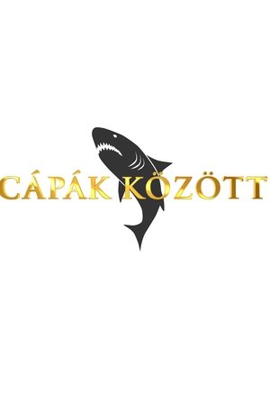 Poster Cápák között Season 7 Episode 12 2024