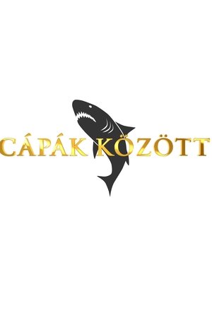 Cápák között - Season 3