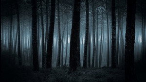 Alone: An Inside Look