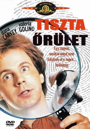 Poster Tiszta őrület 1994