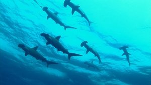 Journeys in Japan: 12×12