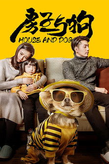 房子与狗