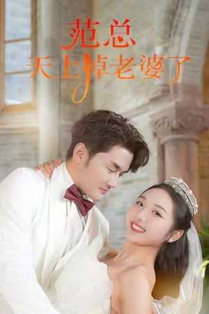 范总天上掉老婆了