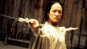 مشاهدة فيلم Crouching Tiger, Hidden Dragon 2000 مترجم