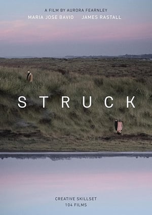 Poster Struck 2017