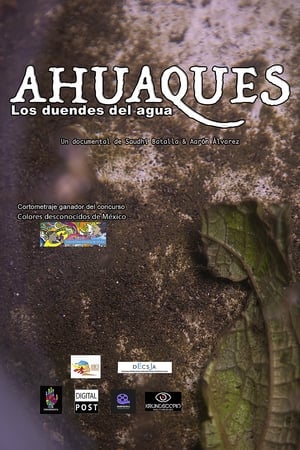 Ahuaques, the water elves