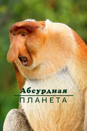 Image Абсурдная планета