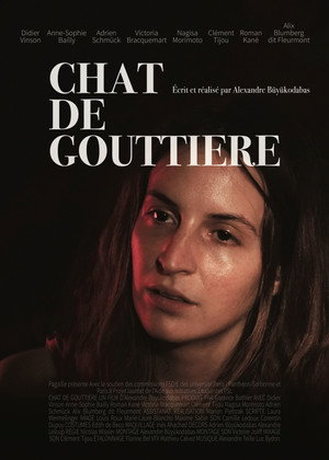 Chat de gouttière 3