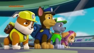 PAW Patrol Pups Save a Wild Ride