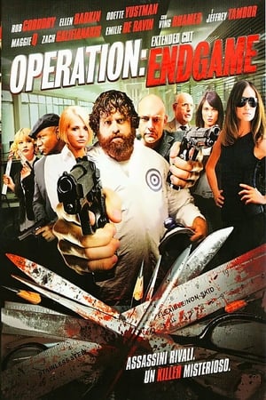 Poster di Operation: Endgame