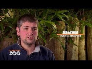 Episode 29