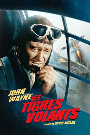 Flying Tigers 17